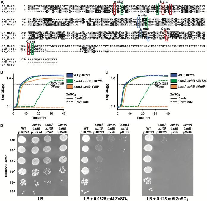 https://cdn.ncbi.nlm.nih.gov/pmc/blobs/82c6/8754126/efca7b6e075c/spectrum.01316-21-f003.jpg