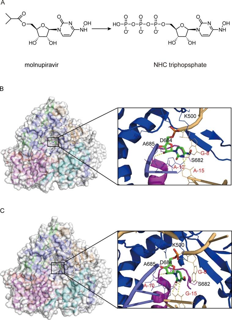 https://cdn.ncbi.nlm.nih.gov/pmc/blobs/82c6/9535928/3d582b3d566a/gr5_lrg.jpg