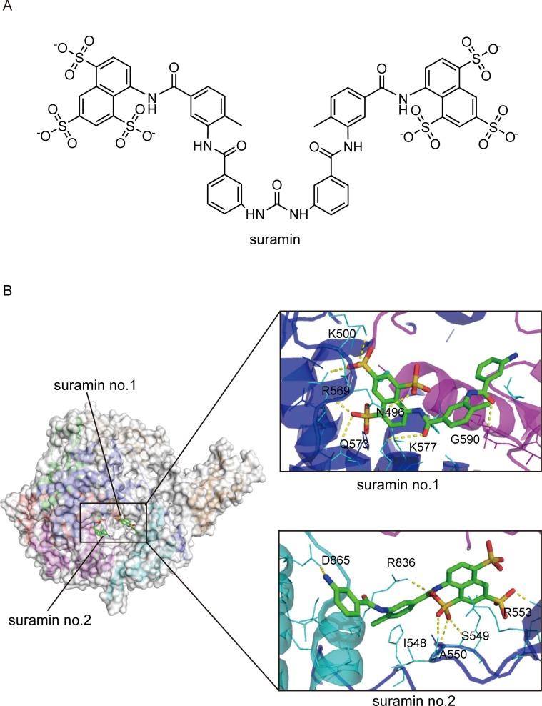 https://cdn.ncbi.nlm.nih.gov/pmc/blobs/82c6/9535928/71c21b01b962/gr8_lrg.jpg
