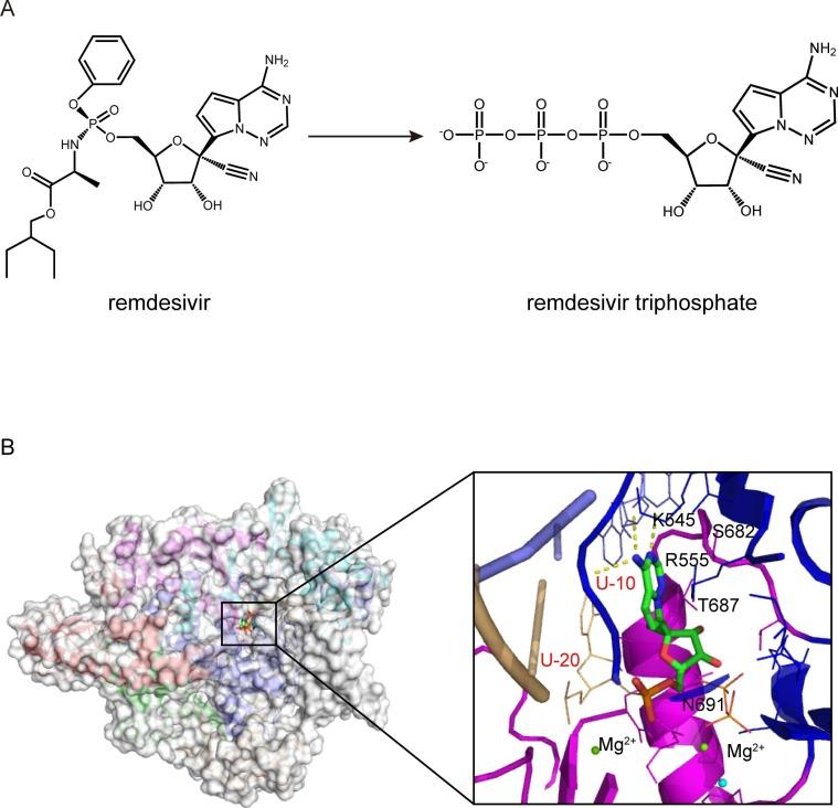 https://cdn.ncbi.nlm.nih.gov/pmc/blobs/82c6/9535928/f2c6d352ef64/gr3_lrg.jpg