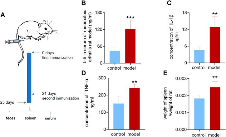 https://cdn.ncbi.nlm.nih.gov/pmc/blobs/82c7/9551995/7572b89ea0ac/fphar-13-919181-g003.jpg