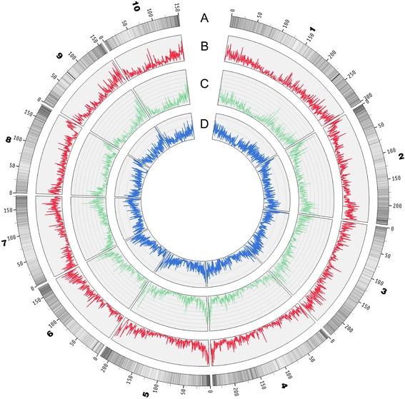 https://cdn.ncbi.nlm.nih.gov/pmc/blobs/82c8/4687334/cd080526c399/12864_2015_2242_Fig1_HTML.jpg