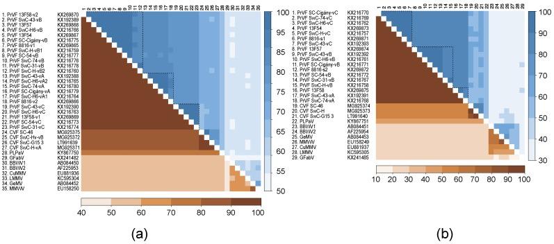 https://cdn.ncbi.nlm.nih.gov/pmc/blobs/82c8/5923498/43a5c952bbe8/viruses-10-00204-g004.jpg