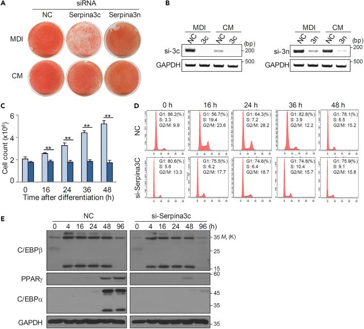 https://cdn.ncbi.nlm.nih.gov/pmc/blobs/82c8/7076559/79e2bbcc07cf/gr3.jpg