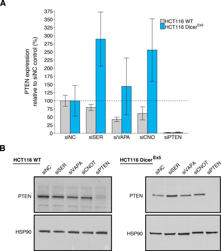 https://cdn.ncbi.nlm.nih.gov/pmc/blobs/82c8/7572125/959c85c45a88/elife-56651-fig3.jpg
