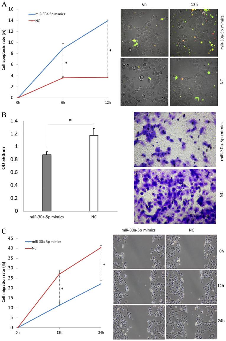 https://cdn.ncbi.nlm.nih.gov/pmc/blobs/82ca/7303773/081ce256ca01/10.1177_1753466620915156-fig4.jpg