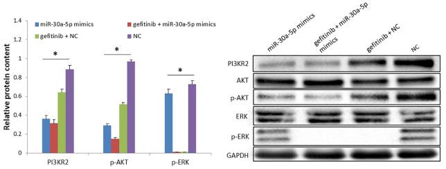 https://cdn.ncbi.nlm.nih.gov/pmc/blobs/82ca/7303773/576861bd5432/10.1177_1753466620915156-fig5.jpg