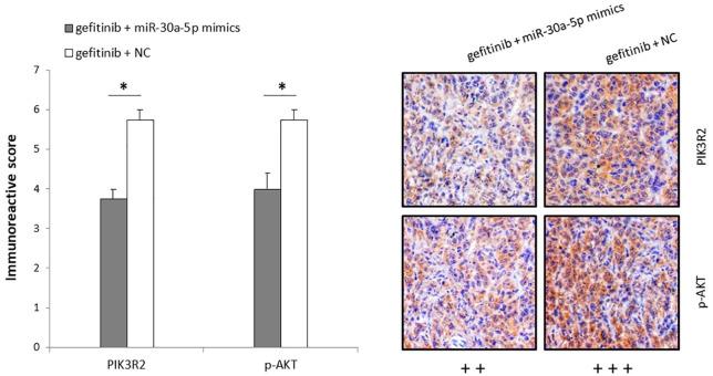 https://cdn.ncbi.nlm.nih.gov/pmc/blobs/82ca/7303773/79bd3cf8f445/10.1177_1753466620915156-fig7.jpg