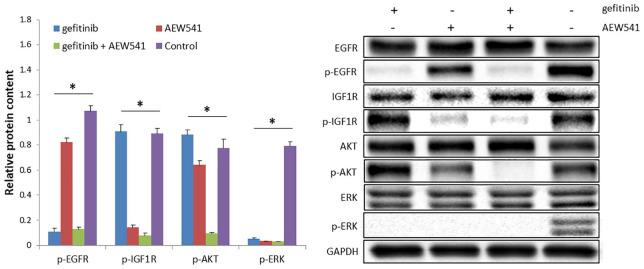 https://cdn.ncbi.nlm.nih.gov/pmc/blobs/82ca/7303773/c648cfab5afa/10.1177_1753466620915156-fig2.jpg