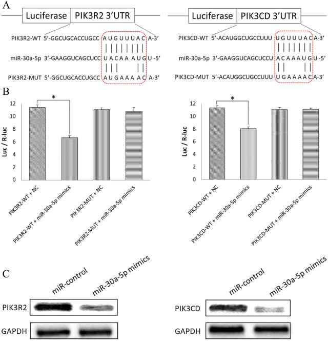 https://cdn.ncbi.nlm.nih.gov/pmc/blobs/82ca/7303773/fead2944d4f3/10.1177_1753466620915156-fig3.jpg