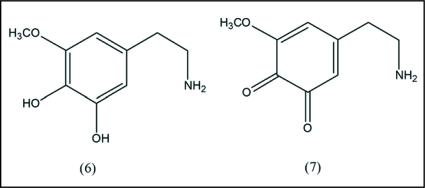 https://cdn.ncbi.nlm.nih.gov/pmc/blobs/82cb/2763256/ecb82b3447f0/omcl0204_0181_fig003.jpg