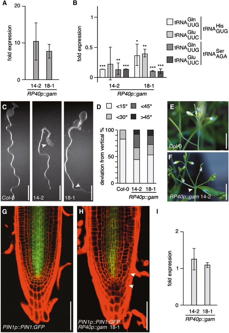 https://cdn.ncbi.nlm.nih.gov/pmc/blobs/82cb/4416960/faf2baedef9b/gr3.jpg