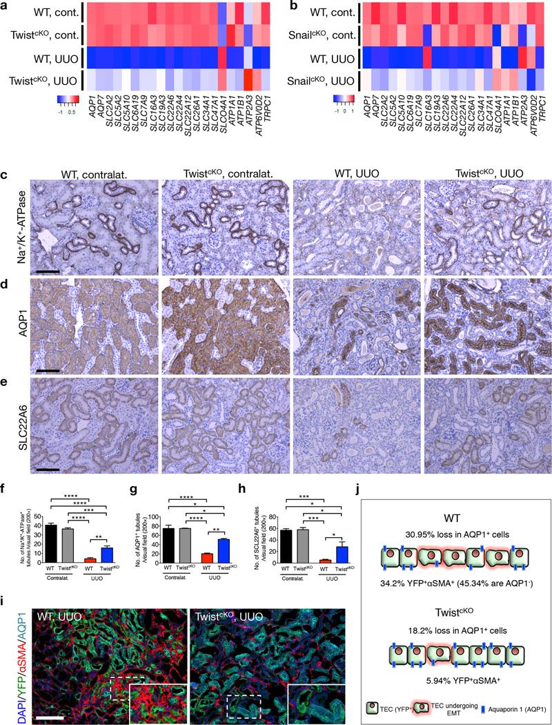 https://cdn.ncbi.nlm.nih.gov/pmc/blobs/82cb/4587560/ccd659c1eb62/nihms700914f2.jpg