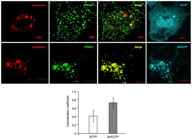 https://cdn.ncbi.nlm.nih.gov/pmc/blobs/82cd/2791231/b4cebb688d00/pone.0008342.g005.jpg