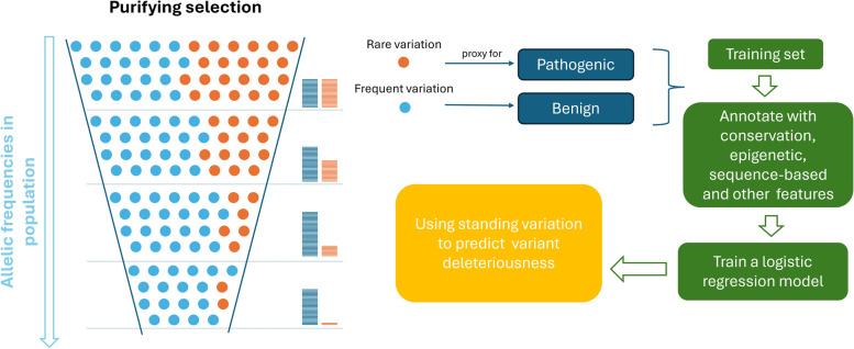 https://cdn.ncbi.nlm.nih.gov/pmc/blobs/82ce/12323237/5ca80c8c4280/13073_2025_1517_Fig1_HTML.jpg