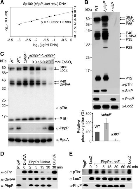 https://cdn.ncbi.nlm.nih.gov/pmc/blobs/82cf/5078927/3001f287243c/12866_2016_865_Fig1_HTML.jpg