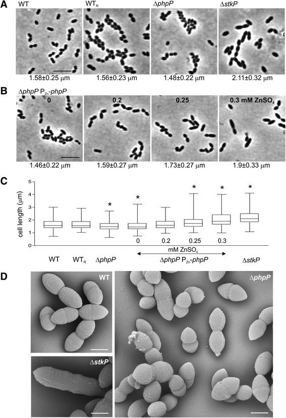 https://cdn.ncbi.nlm.nih.gov/pmc/blobs/82cf/5078927/983319181d47/12866_2016_865_Fig3_HTML.jpg