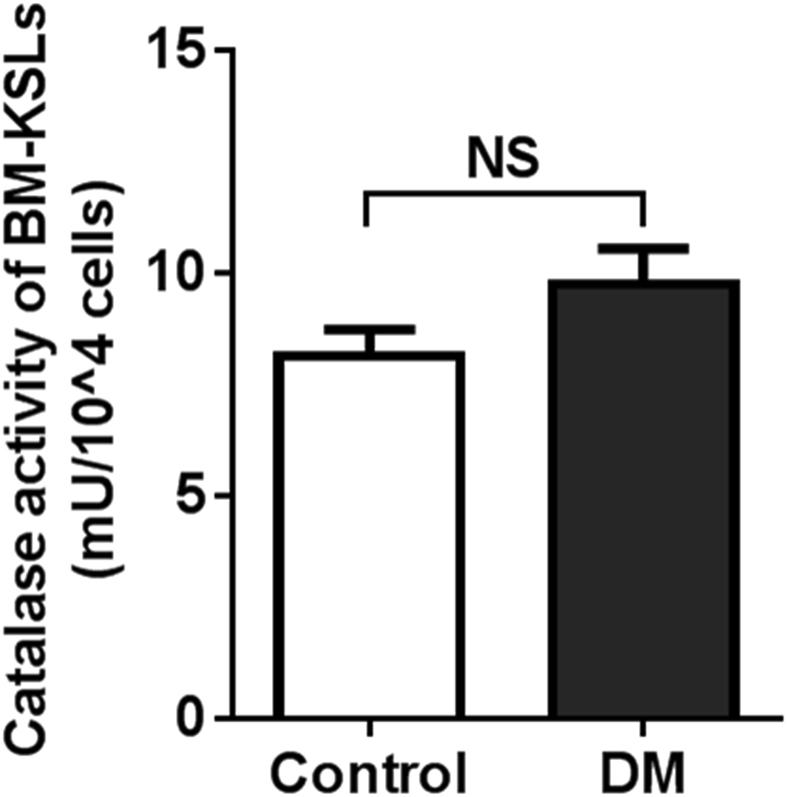 https://cdn.ncbi.nlm.nih.gov/pmc/blobs/82d2/6581786/36366f4ba02c/gr4.jpg