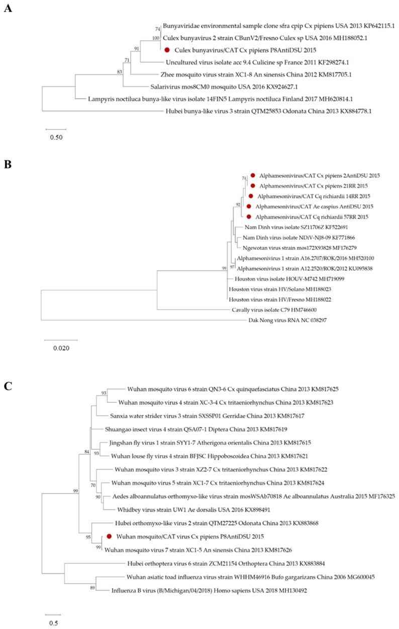 https://cdn.ncbi.nlm.nih.gov/pmc/blobs/82d2/7150749/aeda0b847c6b/viruses-12-00274-g003.jpg