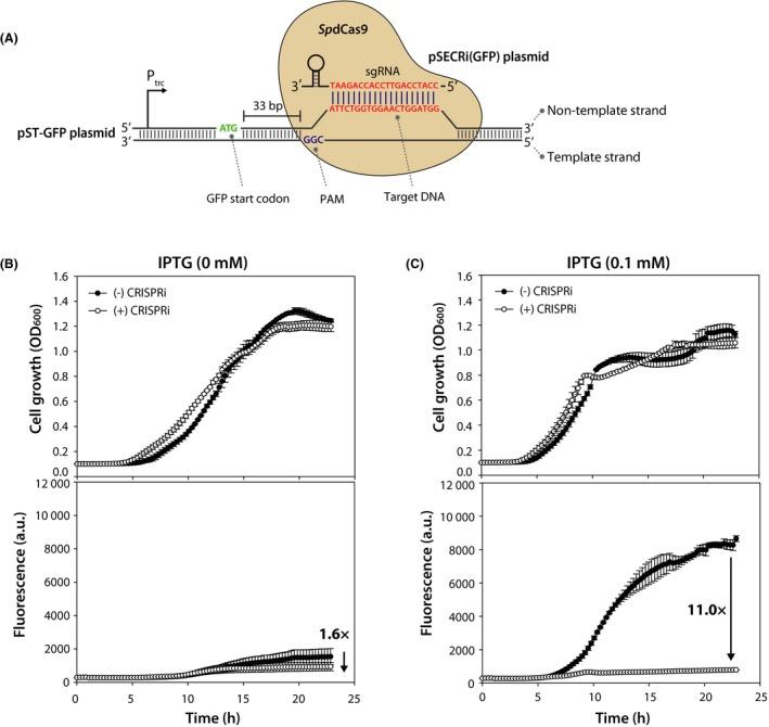 https://cdn.ncbi.nlm.nih.gov/pmc/blobs/82d4/6922533/7f0d66b67c96/MBT2-13-210-g003.jpg