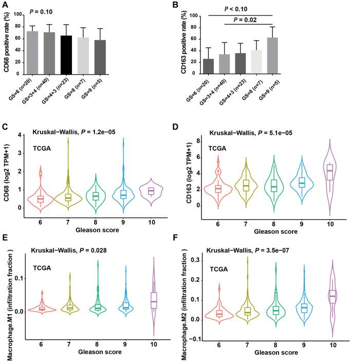 https://cdn.ncbi.nlm.nih.gov/pmc/blobs/82d6/10817380/a17e03589ad5/aging-16-205378-g002.jpg