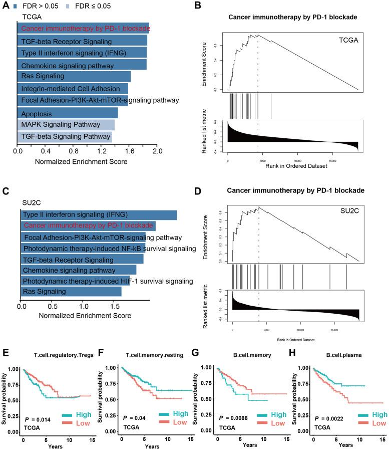 https://cdn.ncbi.nlm.nih.gov/pmc/blobs/82d6/10817380/de61928d8d20/aging-16-205378-g005.jpg
