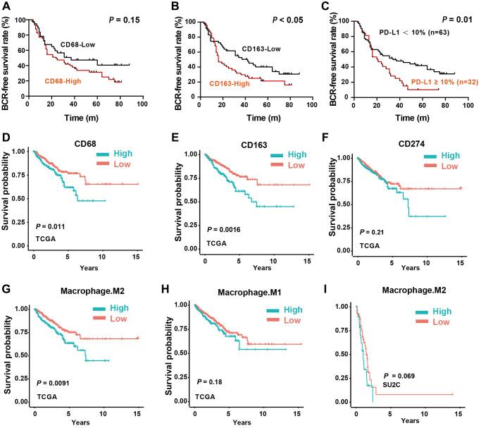 https://cdn.ncbi.nlm.nih.gov/pmc/blobs/82d6/10817380/f247f56be137/aging-16-205378-g004.jpg