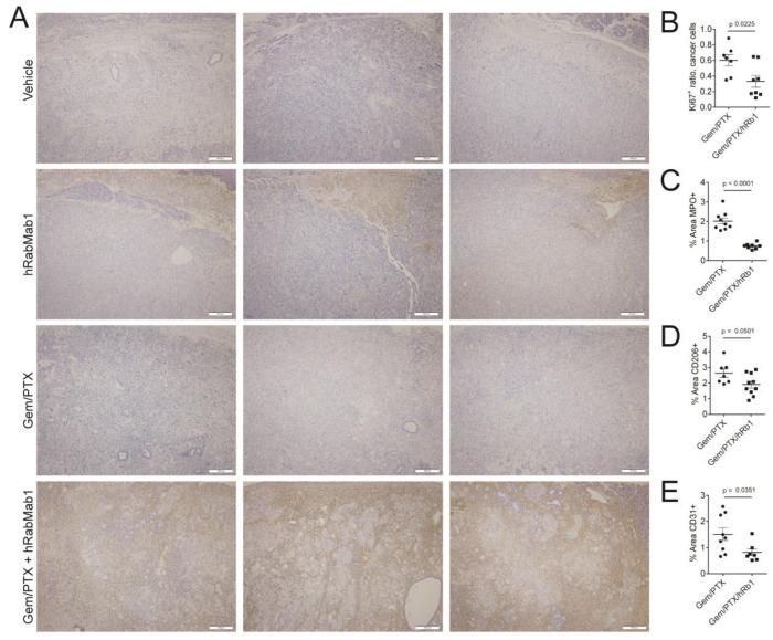 https://cdn.ncbi.nlm.nih.gov/pmc/blobs/82d7/10932375/4538d3062cee/ijms-25-02580-g004.jpg
