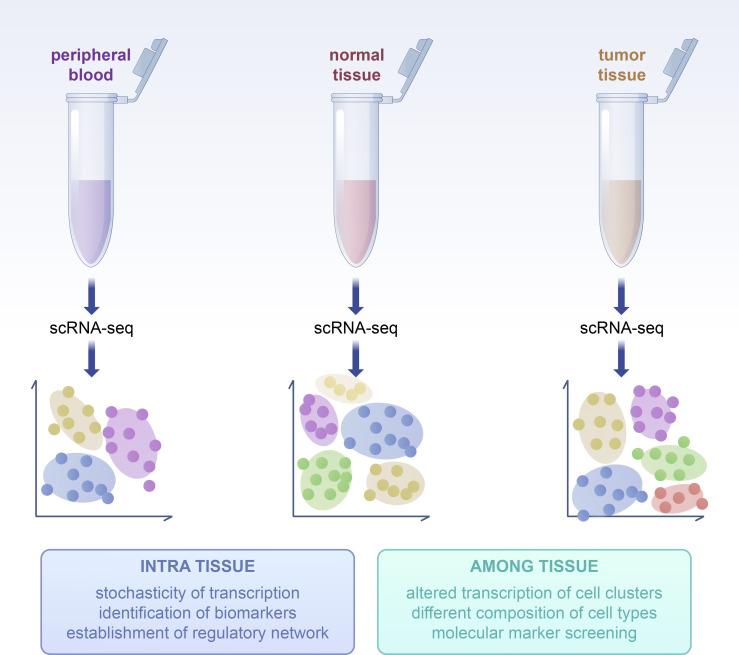 https://cdn.ncbi.nlm.nih.gov/pmc/blobs/82da/12319058/b4ec8596dbff/fimmu-16-1612352-g001.jpg
