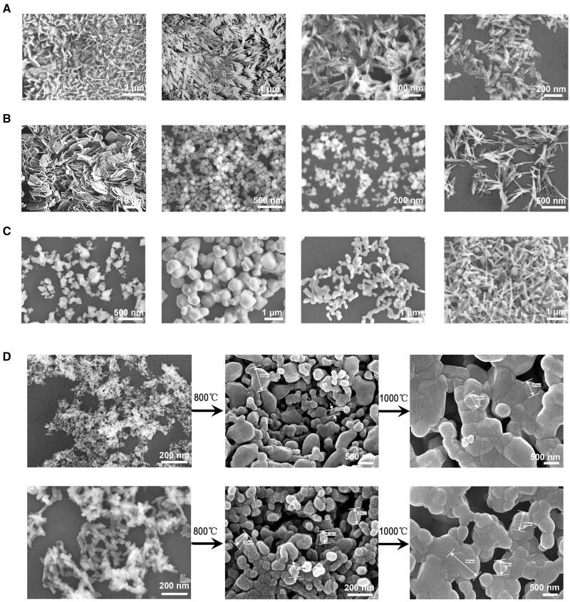 https://cdn.ncbi.nlm.nih.gov/pmc/blobs/82db/11703556/559a858aee5b/rbae129f1.jpg