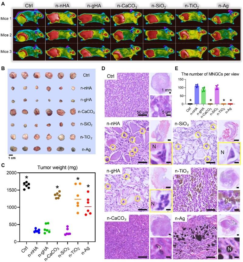 https://cdn.ncbi.nlm.nih.gov/pmc/blobs/82db/11703556/92e3910e7ba2/rbae129f3.jpg