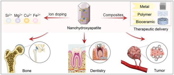 https://cdn.ncbi.nlm.nih.gov/pmc/blobs/82db/11703556/c19a54ed1fab/rbae129f8.jpg