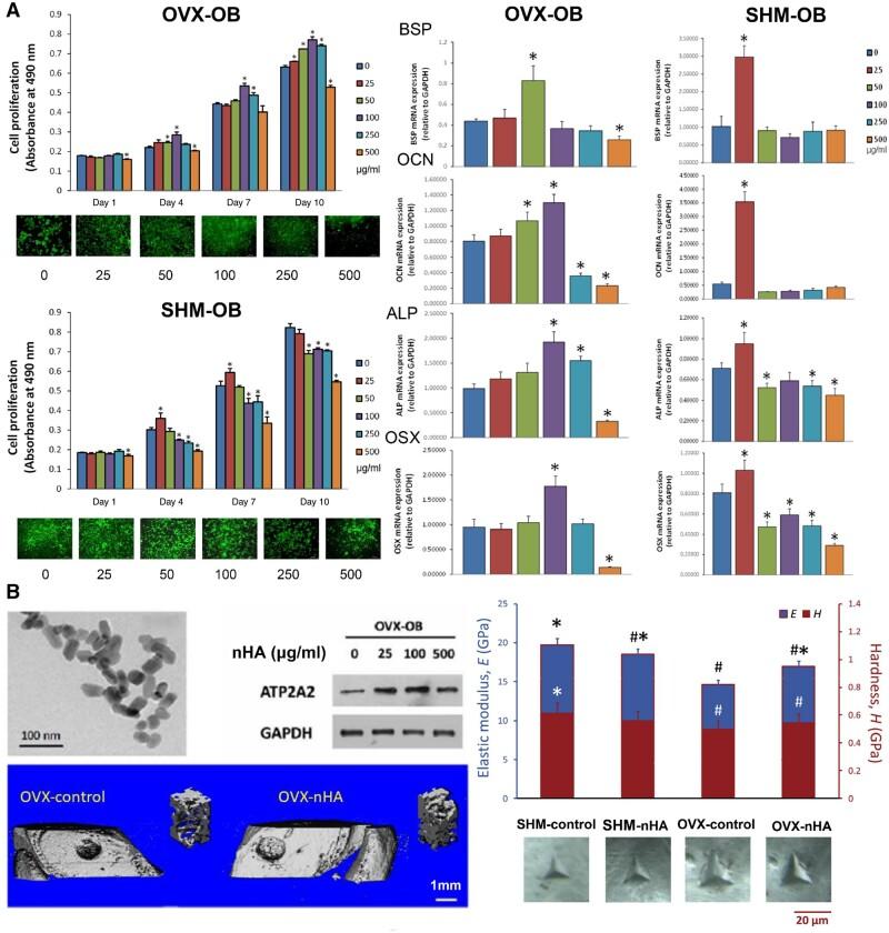 https://cdn.ncbi.nlm.nih.gov/pmc/blobs/82db/11703556/c875112ba161/rbae129f2.jpg