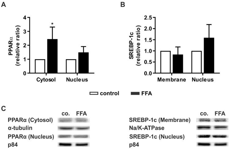 https://cdn.ncbi.nlm.nih.gov/pmc/blobs/82db/7926972/f2b12db69dba/molecules-26-01156-g004.jpg