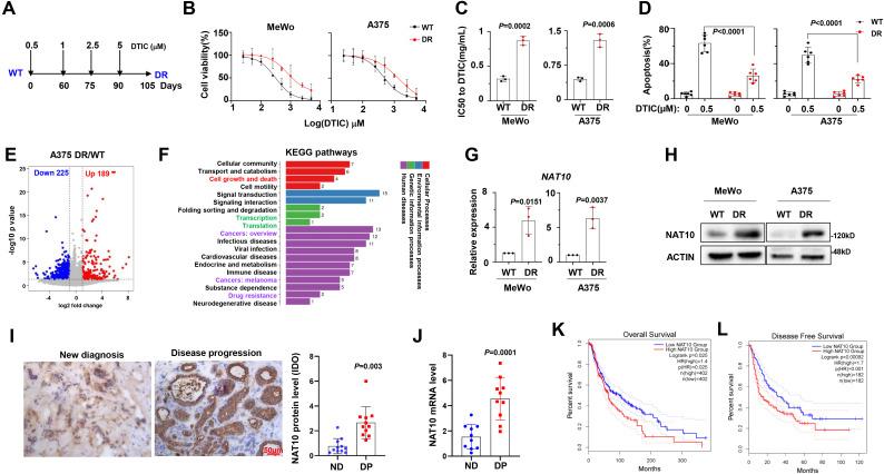 https://cdn.ncbi.nlm.nih.gov/pmc/blobs/82dd/11377236/8255a1c1fe21/fonc-14-1448890-g001.jpg