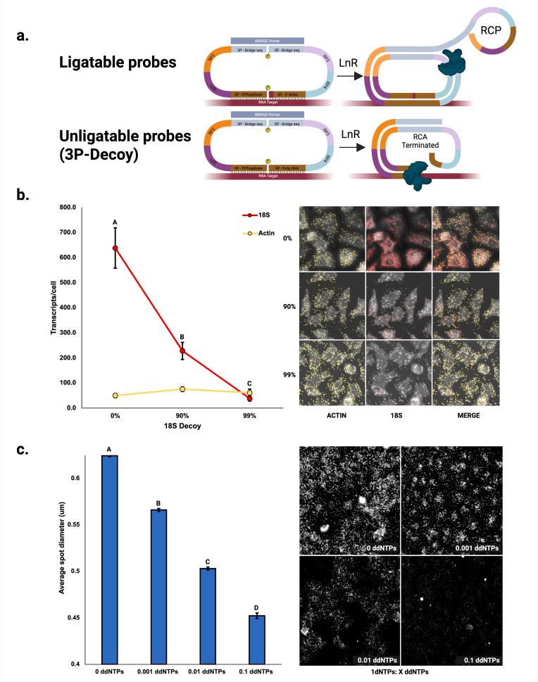 https://cdn.ncbi.nlm.nih.gov/pmc/blobs/82e0/12391569/337588d1f60d/gr3.jpg