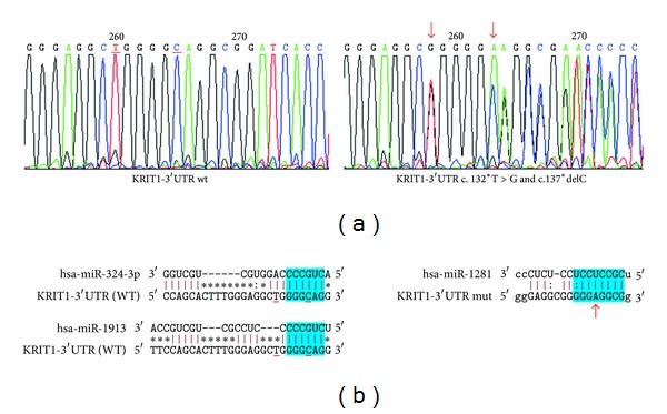 https://cdn.ncbi.nlm.nih.gov/pmc/blobs/82e1/3766605/744374c4fc32/BMRI2013-459253.001.jpg