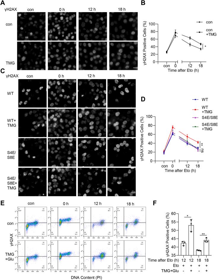 https://cdn.ncbi.nlm.nih.gov/pmc/blobs/82e3/11647514/431e41f57c8c/gr5.jpg