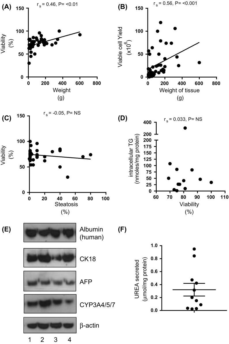 https://cdn.ncbi.nlm.nih.gov/pmc/blobs/82e3/5682876/977ee117061e/10561_2017_9641_Fig1_HTML.jpg