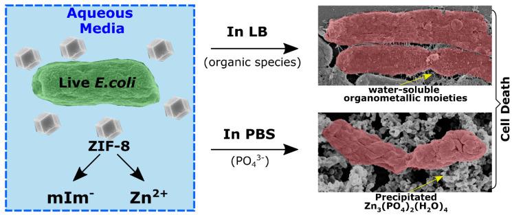 https://cdn.ncbi.nlm.nih.gov/pmc/blobs/82e4/10342828/73171823c583/materials-16-04685-g006.jpg
