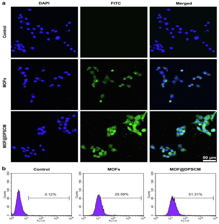 https://cdn.ncbi.nlm.nih.gov/pmc/blobs/82e4/10342828/7b24f951ac4d/materials-16-04685-g004a.jpg