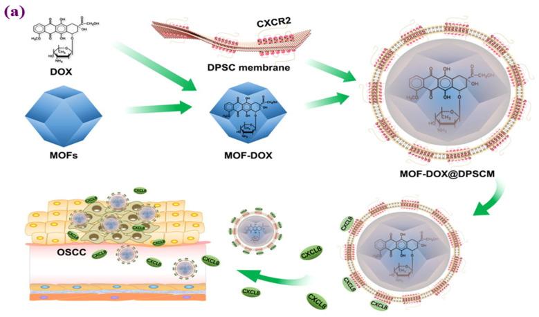 https://cdn.ncbi.nlm.nih.gov/pmc/blobs/82e4/10342828/94d4b97b478d/materials-16-04685-g008a.jpg