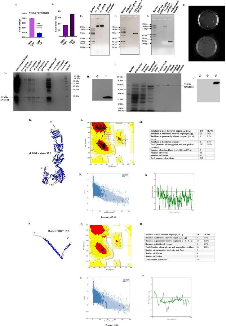 https://cdn.ncbi.nlm.nih.gov/pmc/blobs/82e4/11452002/d3c6c1076b4e/pone.0311301.g006.jpg