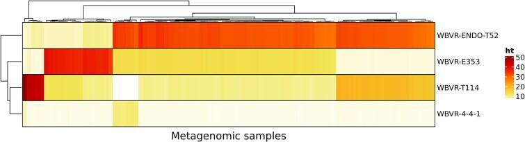 https://cdn.ncbi.nlm.nih.gov/pmc/blobs/82e5/12376040/368b4ce25d3a/ycaf121f2.jpg
