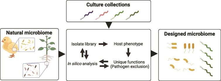 https://cdn.ncbi.nlm.nih.gov/pmc/blobs/82e5/12376040/7b56b981f9b8/ycaf121f1.jpg