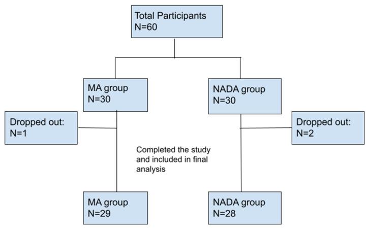 https://cdn.ncbi.nlm.nih.gov/pmc/blobs/82e7/10968796/f0ff53442e53/brainsci-14-00205-g002.jpg