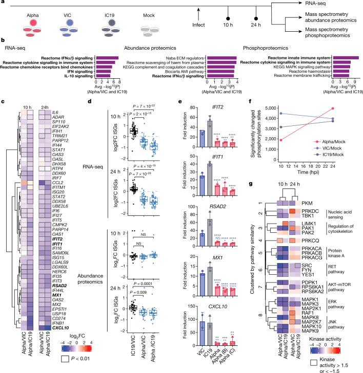 https://cdn.ncbi.nlm.nih.gov/pmc/blobs/82e8/8850198/07d208edf848/41586_2021_4352_Fig2_HTML.jpg