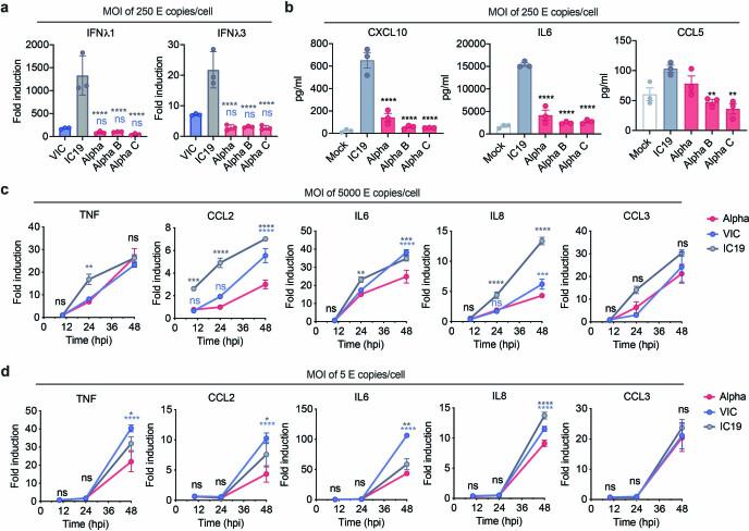 https://cdn.ncbi.nlm.nih.gov/pmc/blobs/82e8/8850198/15b4adb76aa8/41586_2021_4352_Fig11_ESM.jpg