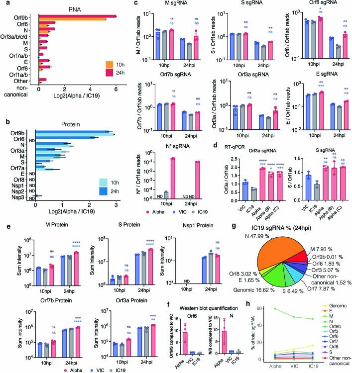 https://cdn.ncbi.nlm.nih.gov/pmc/blobs/82e8/8850198/6176bf89be01/41586_2021_4352_Fig13_ESM.jpg