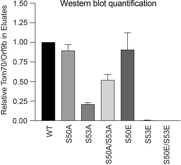 https://cdn.ncbi.nlm.nih.gov/pmc/blobs/82e8/8850198/bac309d274bf/41586_2021_4352_Fig15_ESM.jpg